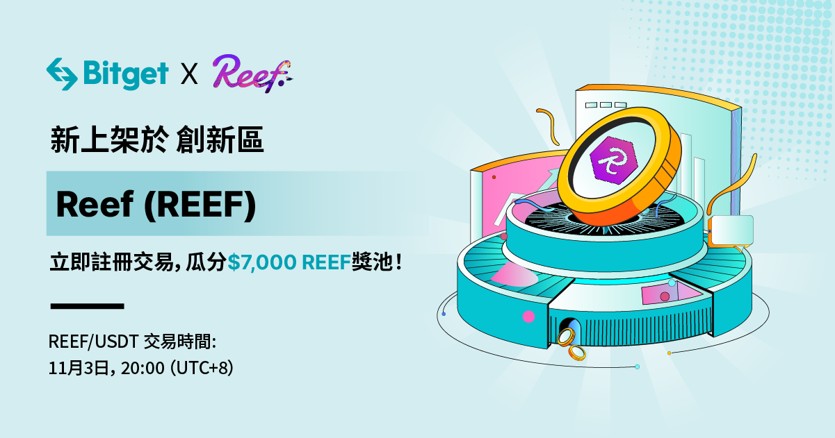 Reef__REEF_____TW_1200x630____9.png